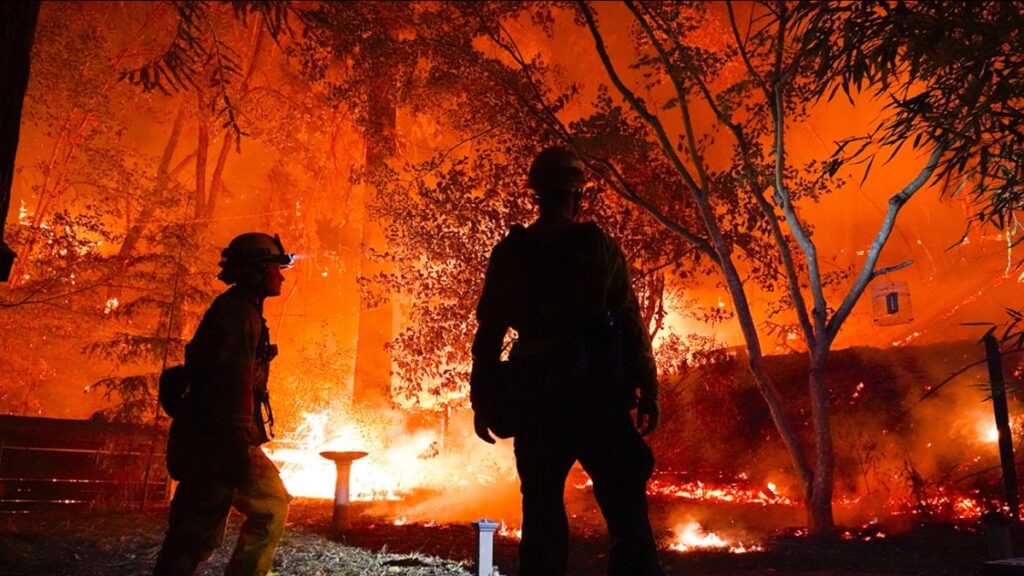INCENDII DE VEGETAȚIE ÎN MAI MULTE LOCALITĂȚI DIN JUDEȚ