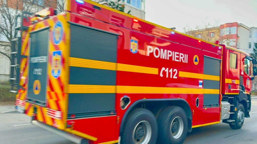 Pădure în flăcări la Berivoiul Mare. Peste 20 de pompieri au intervenit în zonă