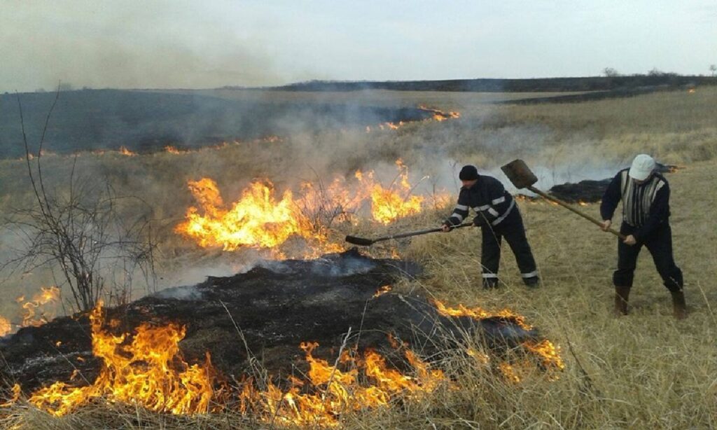 Val de incendii de vegetație în Argeș! Flăcările au mistuit mii de metri pătrați la Boteni, Călinești și Davidești