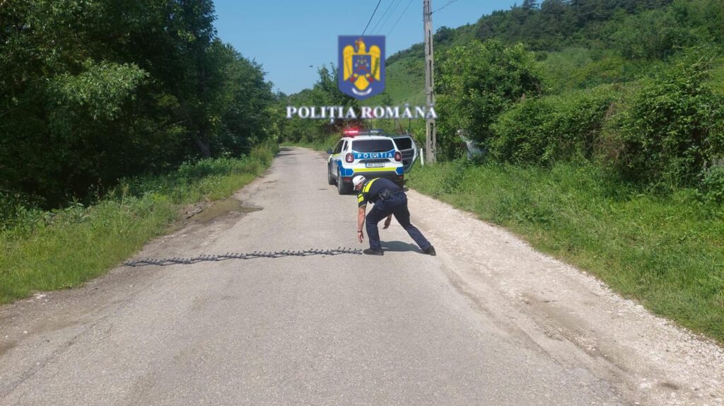 Urmărire ca-n filme în Argeș! O șoferiță a fost oprită cu ajutorul sistemului de blocare Spike