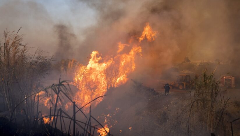Pompierii argeșeni, mobilizați masiv: Incendiile de vegetație au pus în pericol gospodăriile din Topoloveni