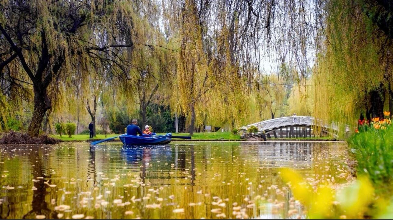 Premieră culturală în Pitești! Vasile Șeicaru și Alina Manole vin la prima ediție „Folk în Parc”