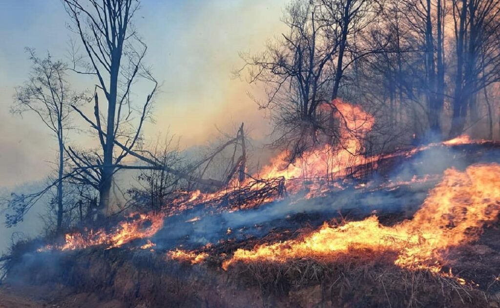 14 INCENDII ÎN JUDEȚ