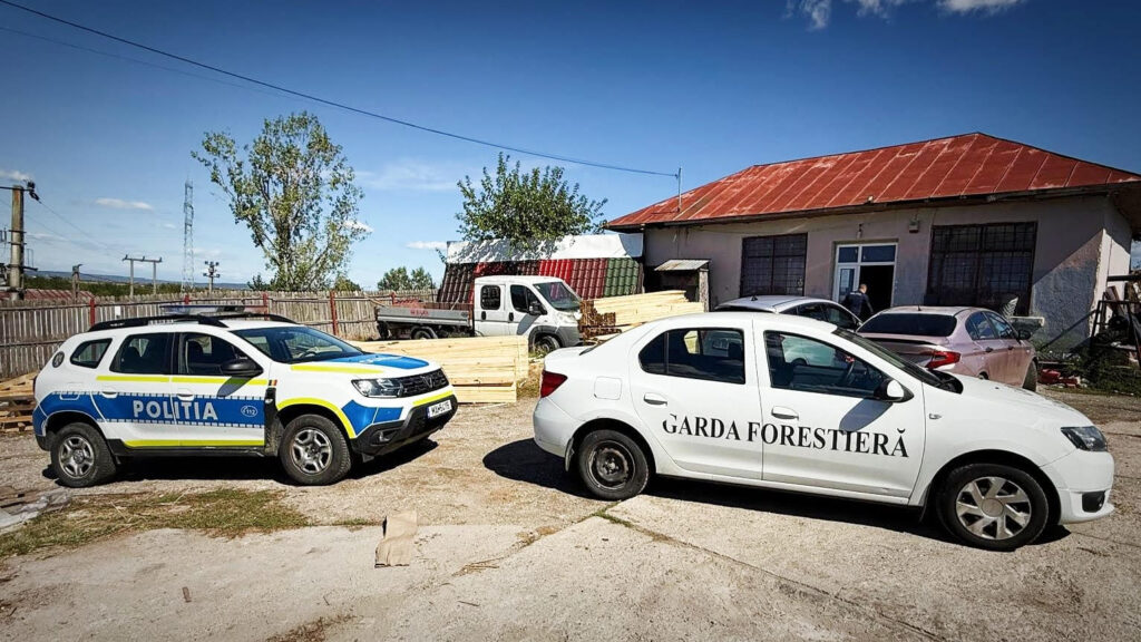 AMENZI ȘI DOSARE PENALE PENTRU TĂIERI ILEGALE DE LEMN