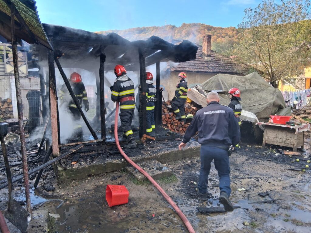 INCENDIU ÎNTR-O GOSPODĂRIE DIN MICEȘTI