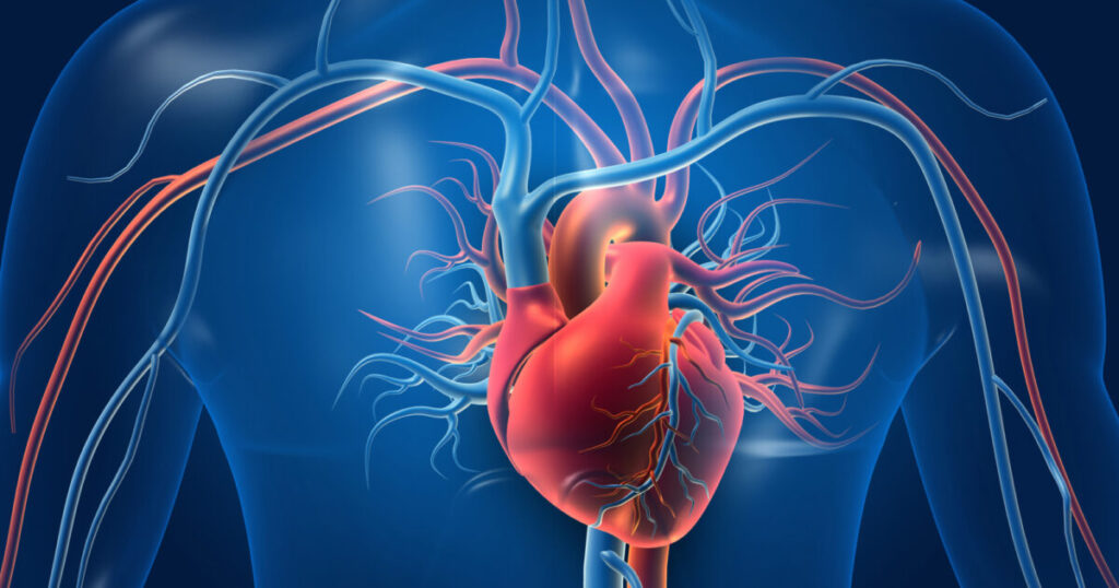 CONSULTAȚIILE CARDIOLOGICE, UN PAS ESENȚIAL PENTRU SĂNĂTATE