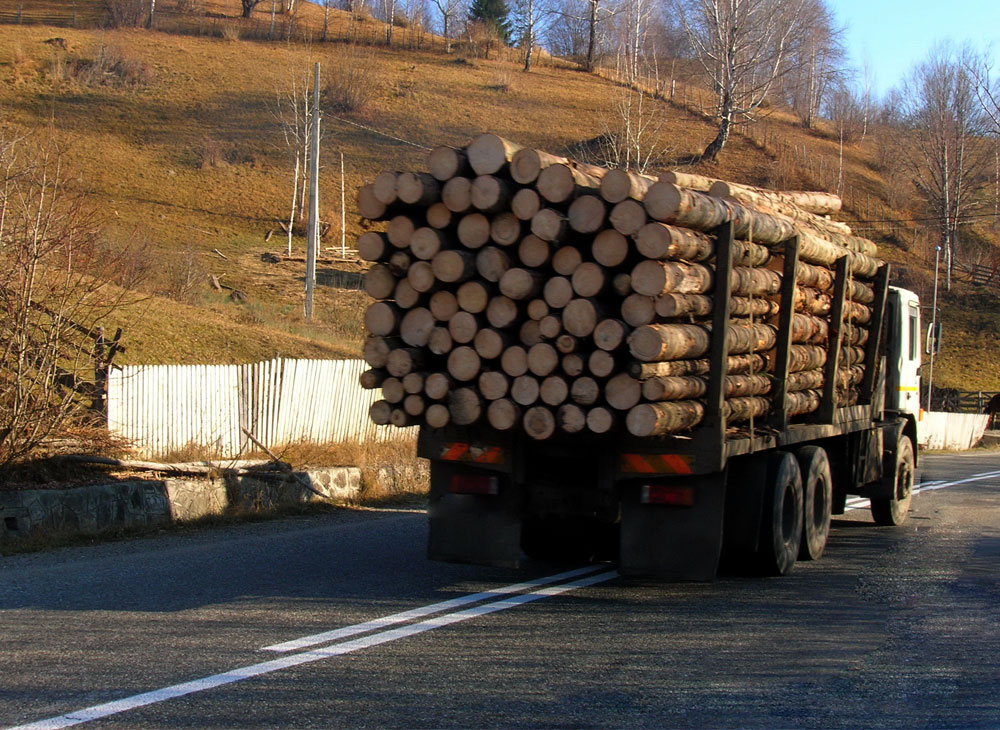 Dosar penal și camion confiscat în Corbi, în urma unui transport ilegal de lemne