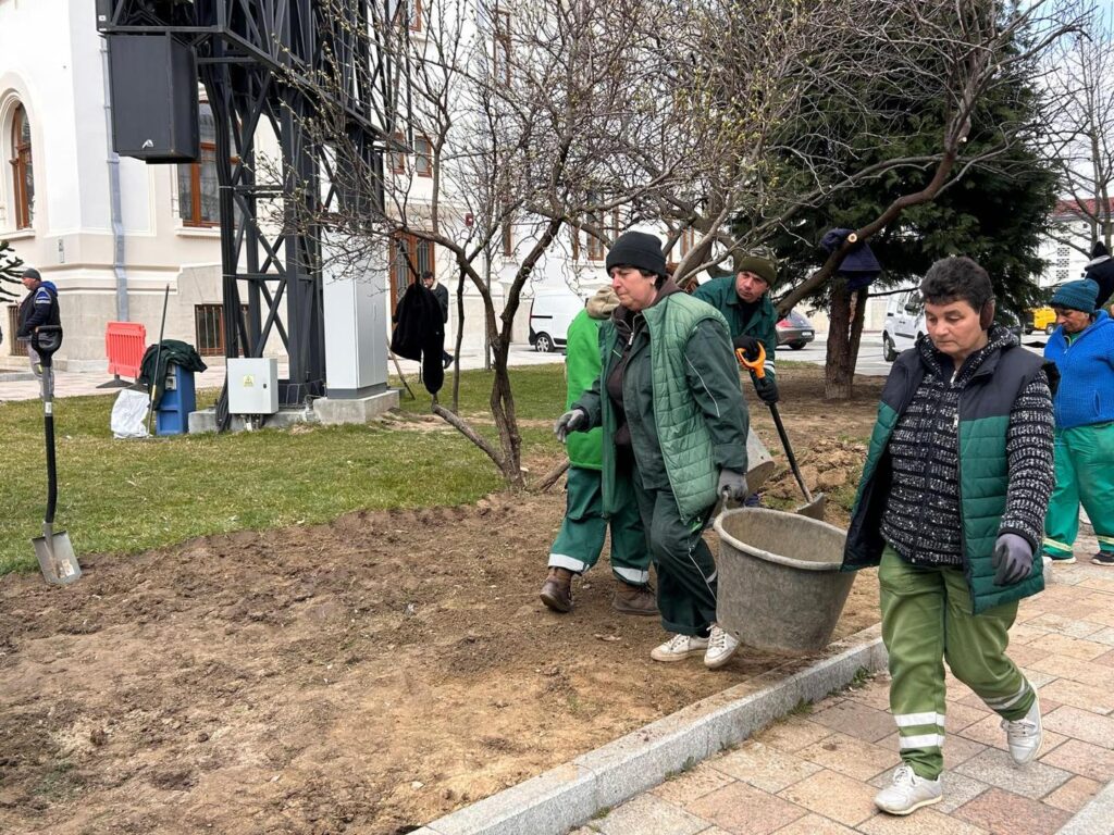 FOTO – Spațiile verzi din jurul Primăriei Municipiului Pitești se transformă!