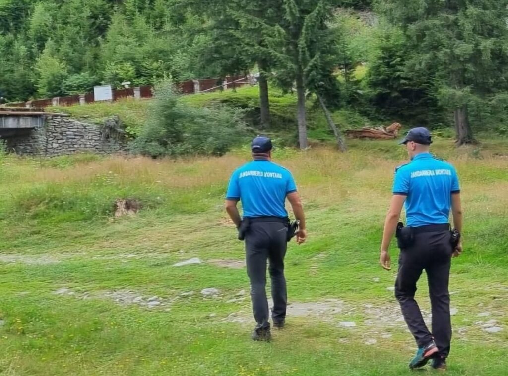Zeci de amenzi și alerte de urs în Argeș! Jandarmii au taxat dur consumul de alcool și transportul ilegal de lemne
