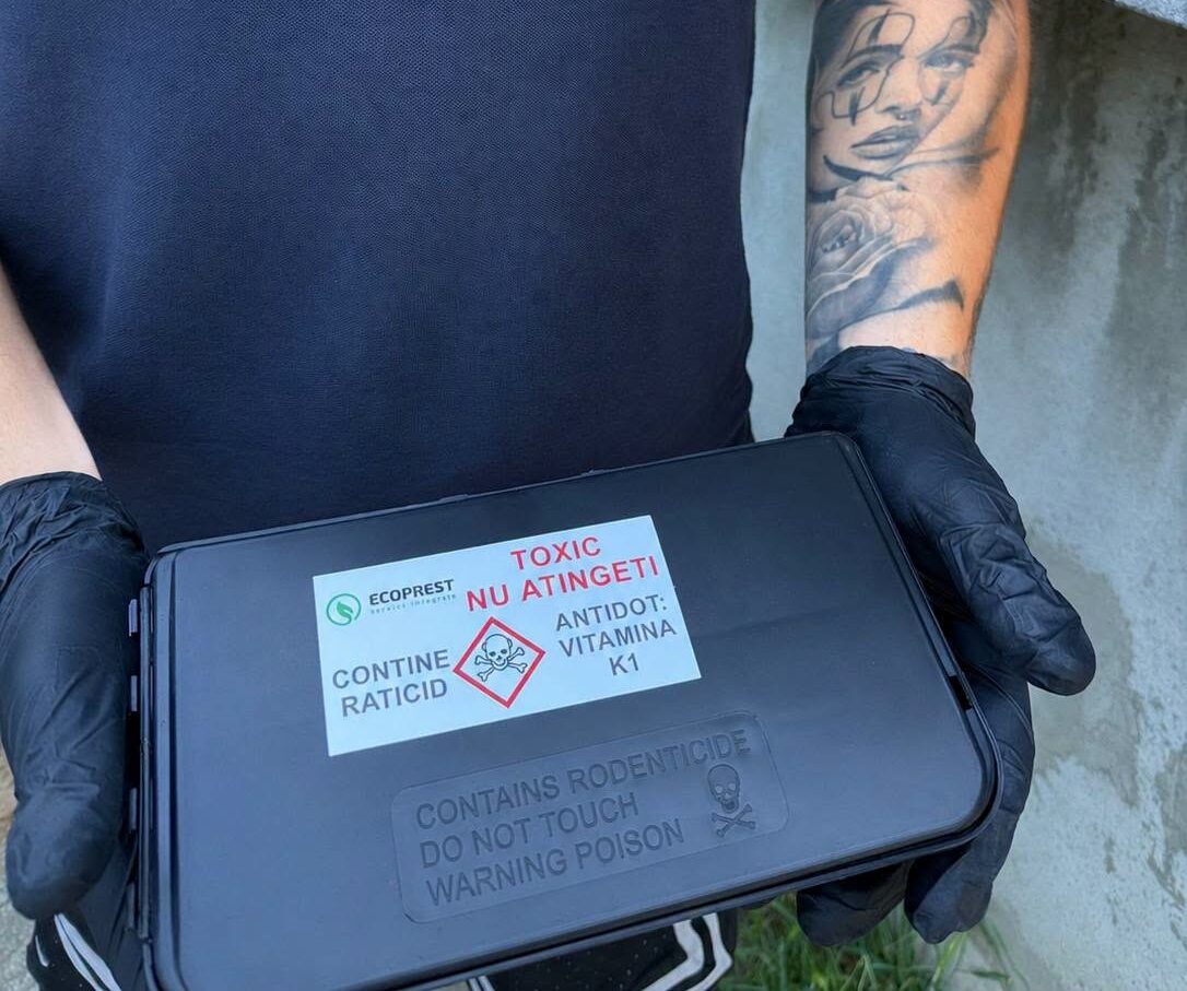 Ofensivă împotriva insectelor și șobolanilor la Mioveni! Au început tratamentele de dezinsecție și deratizare pe domeniul public