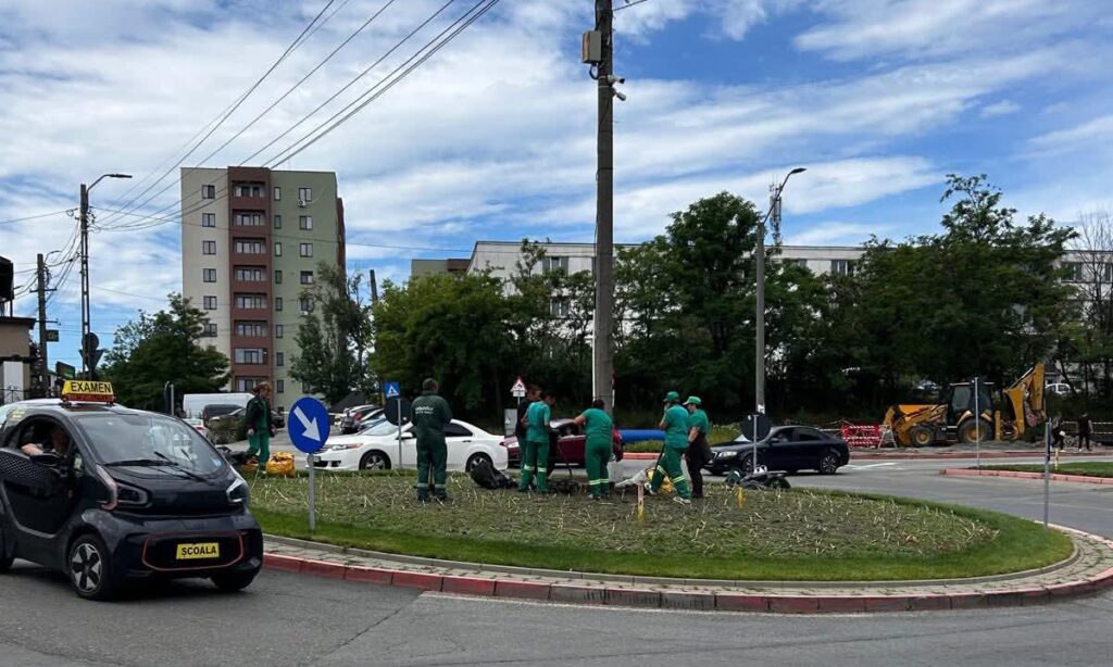 Sensuri giratorii în reamenajare: Salpitflor scoate bulbii de lalele din Pitești și pregătește noul decor peisagistic