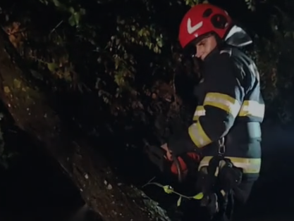 Bilanțul furtunilor în Argeș: peste 30 de intervenții de urgență ale pompierilor