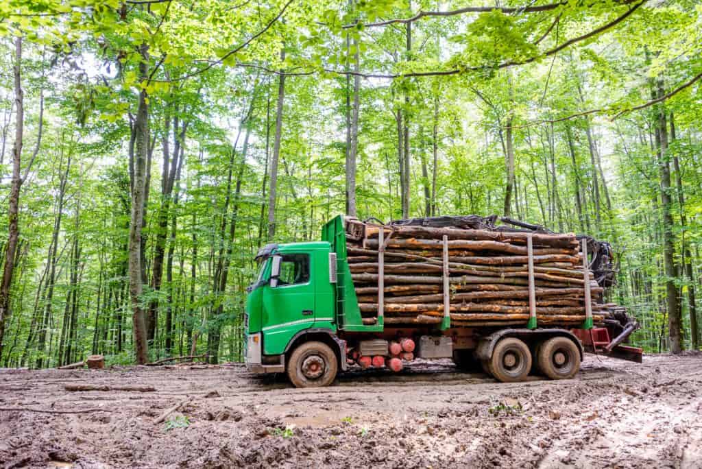 Control silvic în Argeș: amendă de 5.000 de lei pentru lemn fără acte