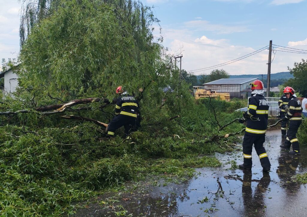 Pompierii din Mioveni au intervenit la Stâlpeni pentru deblocarea traficului, după ce un copac a căzut pe șosea