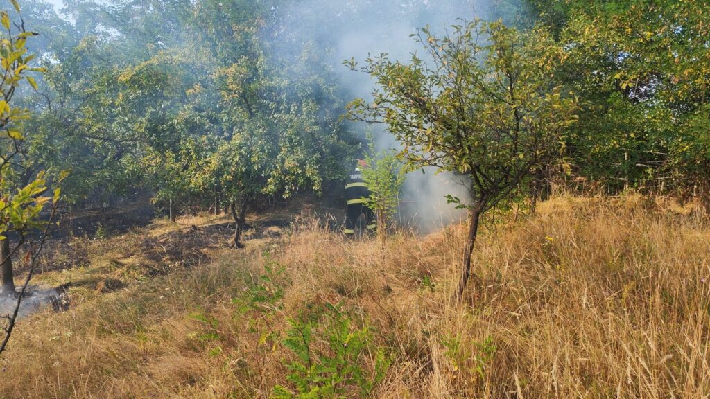 Incendiile de vegetație continuă să dea bătăi de cap pompierilor din Argeș