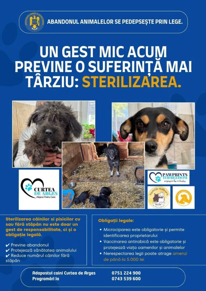 Sterilizare gratuită pentru câini, la Curtea de Argeș, pe 25 august