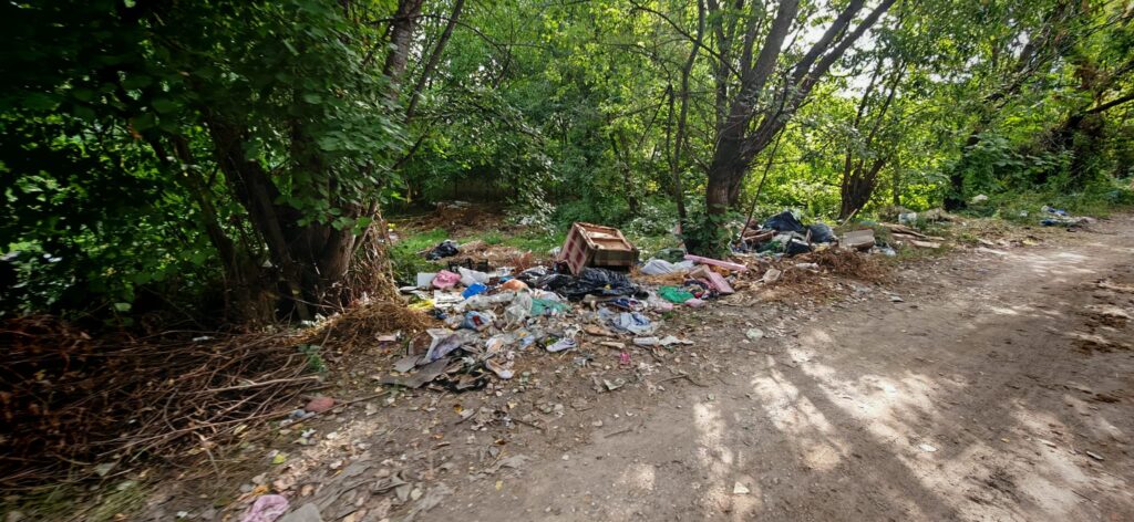 Curățenie generală în zona Zăvoi din Ștefănești! Autoritățile au intervenit în focarul de infecție creat de deșeurile ilegale