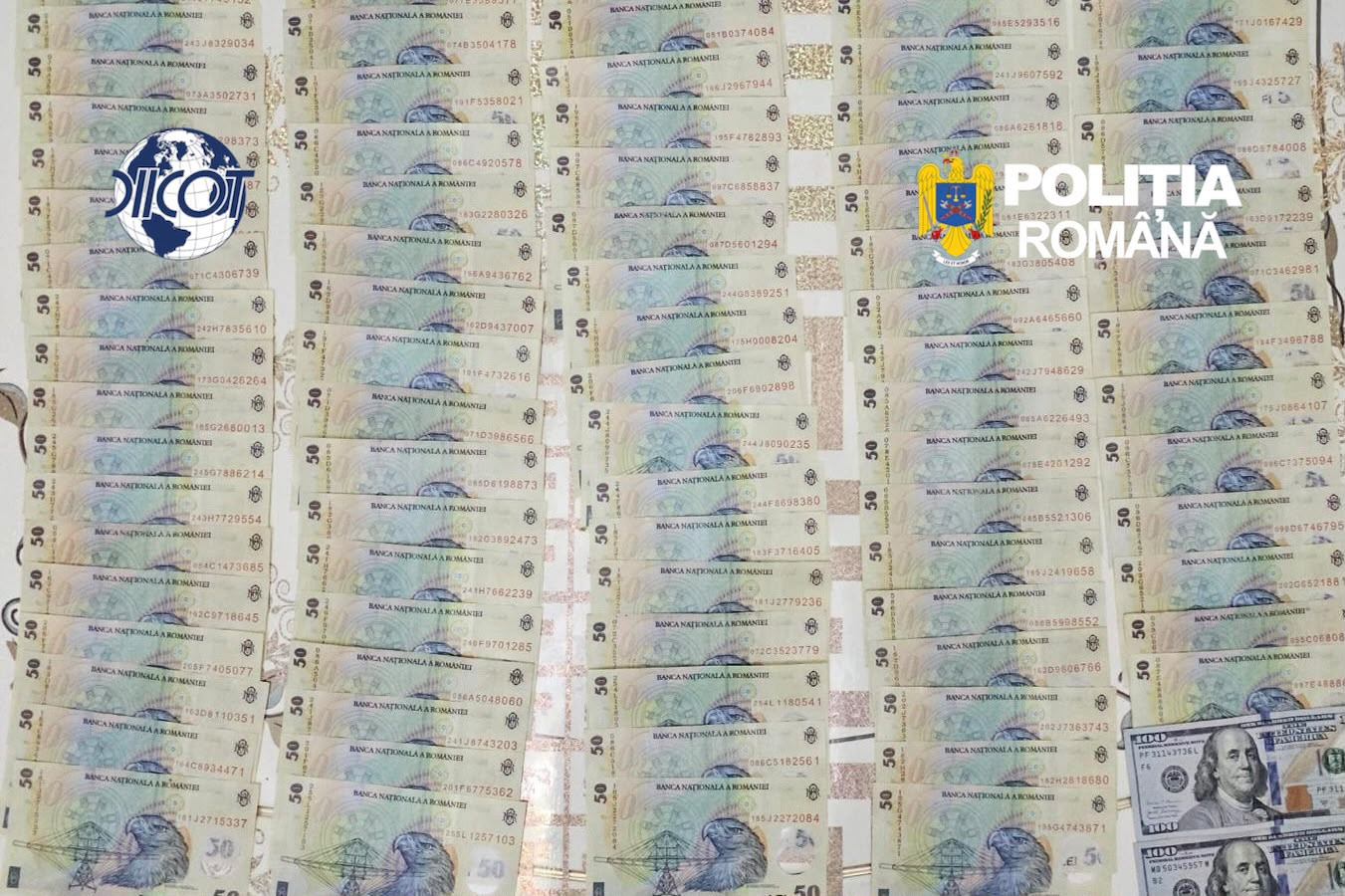 Filieră de trafic de ființe umane, dezmembrată în Argeș și Germania. Cinci suspecți, reținuți.
